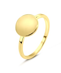 Gold Plated Silver Rings NSR-2785-A-GP